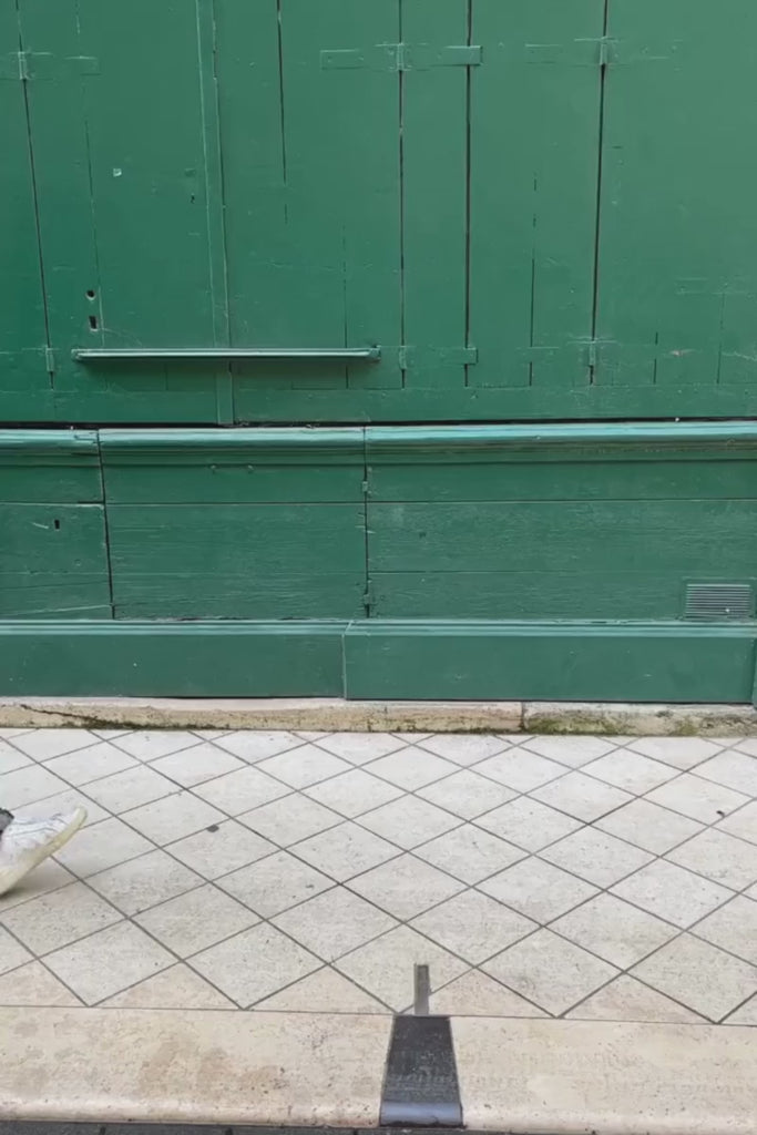 Pantalon Klimt, couleur argent, marque Garance, taille élastique à l'arrière, coupe cigarette